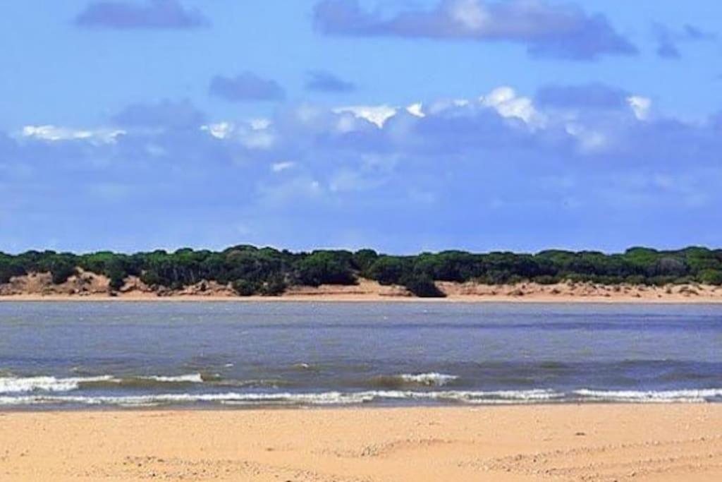 Sanlucar-Centro Leilighet Sanlúcar de Barrameda Eksteriør bilde
